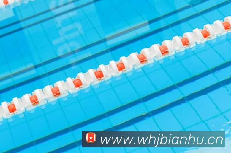 爱游戏(ayx)中国官方网站APP 体育赛事宣传图